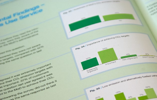 CSS Report Page Detail