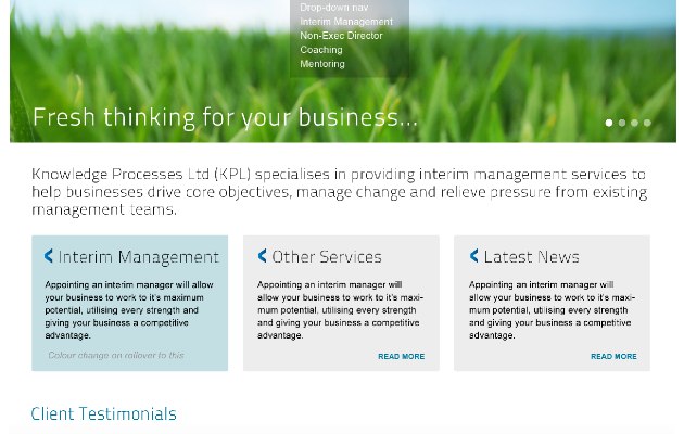 Knowledge Processes Website Visuals by Richard Nolan